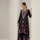 Buy Chikankari Rayon Set in Wholesale bulk order best for boutique owners online store and for exhibitions (2)